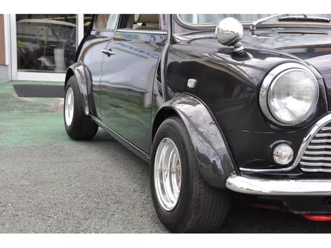 Rover Mini