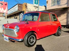 Rover Mini