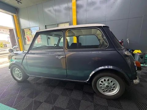 Rover Mini