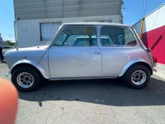 Rover Mini