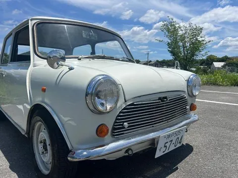 Rover Mini