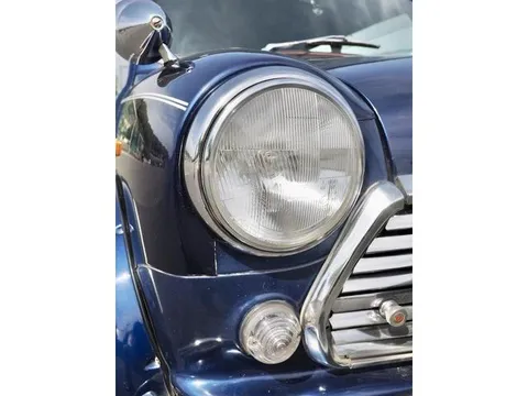 Rover Mini