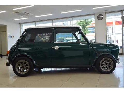 Rover Mini