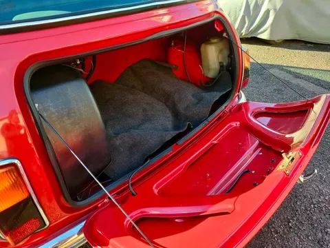 Rover Mini