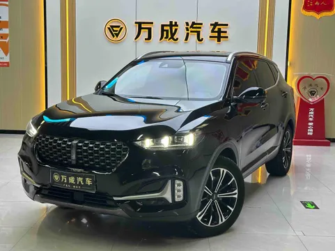 Wey VV6