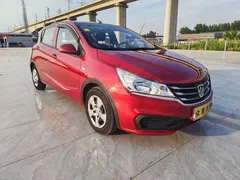 Baojun 310