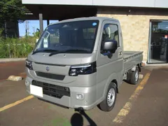 Suzuki Carry Track