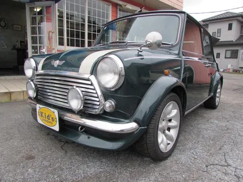 Rover Mini