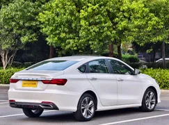 Geely Binrui
