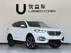 Wey VV6
