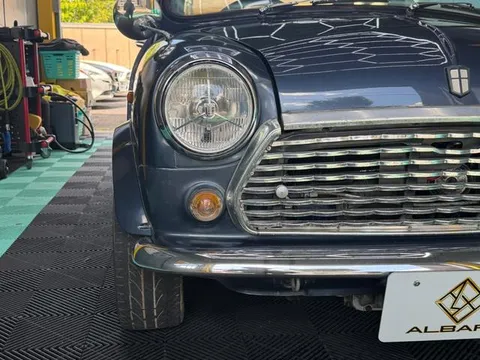 Rover Mini
