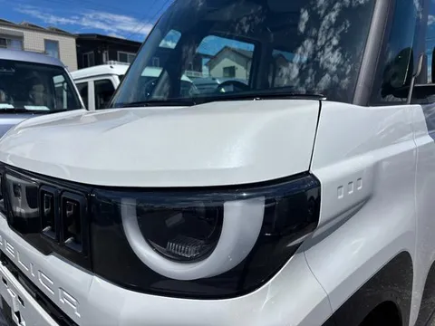 Mitsubishi Delica Mini