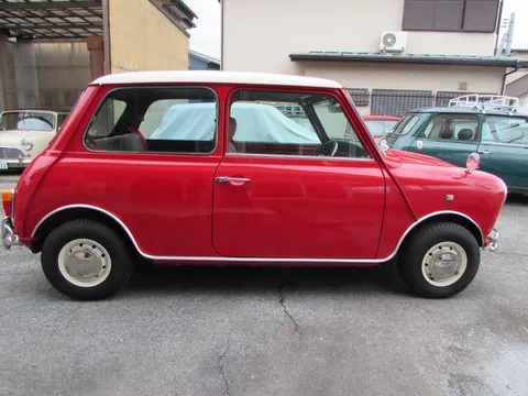Rover Mini
