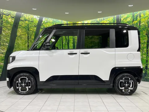 Mitsubishi Delica Mini