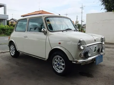 Rover Mini