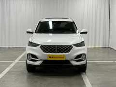 Wey VV6
