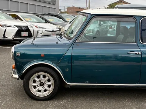 Rover Mini