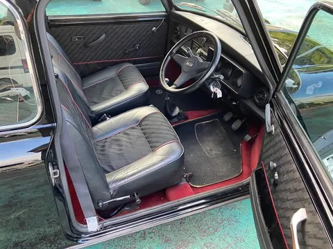 Rover Mini