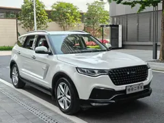 Zotye T700