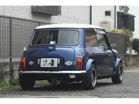 Rover Mini