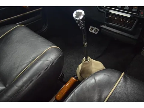 Rover Mini