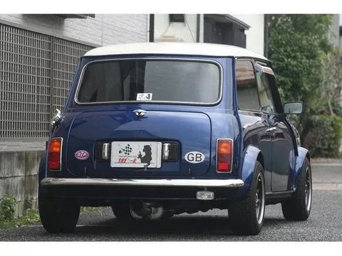 Rover Mini