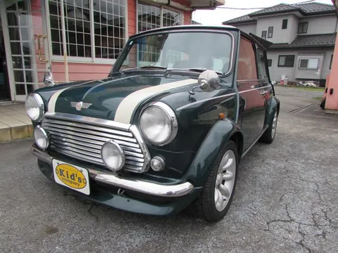 Rover Mini