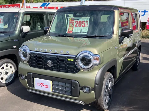 Suzuki Hustler