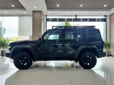 Tank 300