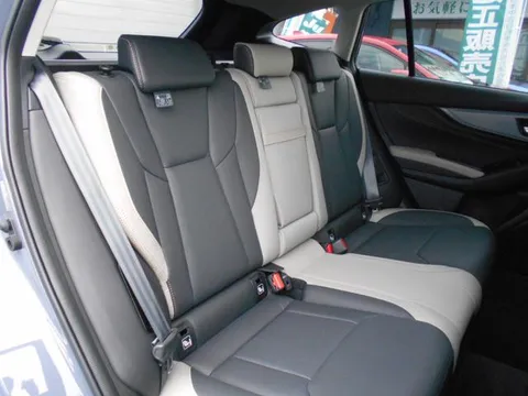Subaru Levorg Layback