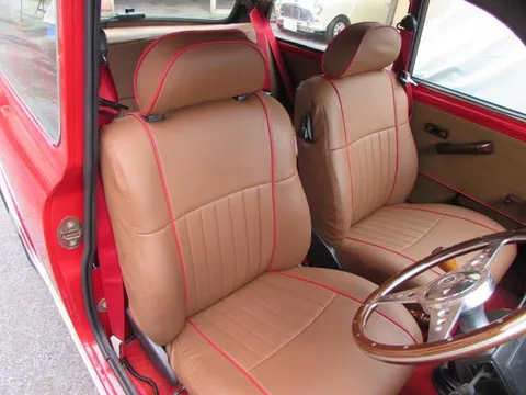 Rover Mini