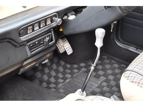 Rover Mini