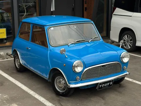 Rover Mini
