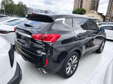 Wey VV6