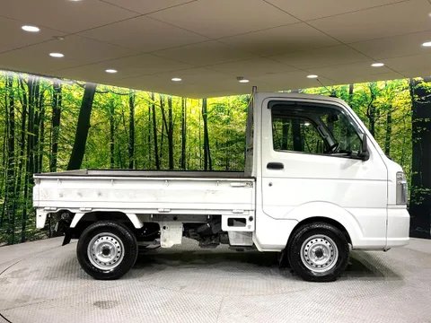 Nissan Clipper Truck