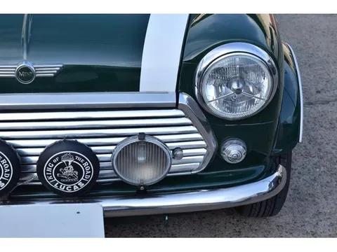 Rover Mini