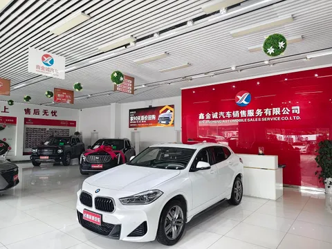 BMW X2
