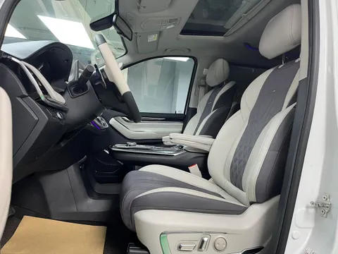 Maxus G20
