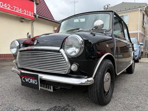Rover Mini