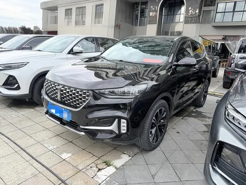 Wey VV6