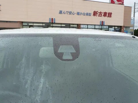 Suzuki Alto Turbo RS