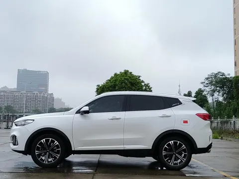 Wey VV6