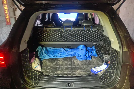 Roewe RX5