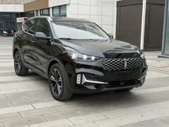 Wey VV6