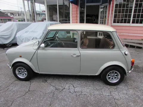 Rover Mini