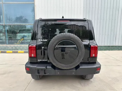 Tank 300