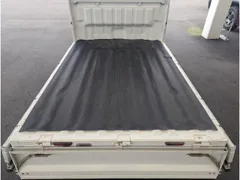 Suzuki Carry Track