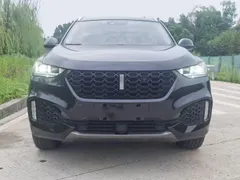 Wey VV6