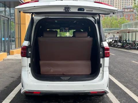 Maxus G20