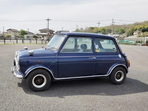Rover Mini